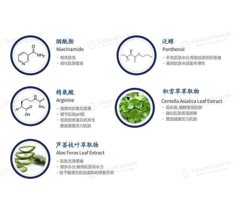Exfoliant Formula 焕颜活肤液 : -4