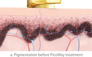 Picoway_Page_1 Picoway_Page_1