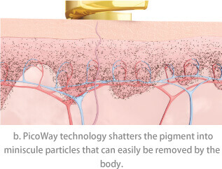 Picoway_Page_2 Picoway_Page_2