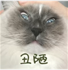 媲美菲洛嘉,终于到有批文性价比超高的动能素—therapeel秀沐凝 : -4 媲美菲洛嘉,终于到有批文性价比超高的动能素—therapeel秀沐凝-广州沐凝生物科技有限公司