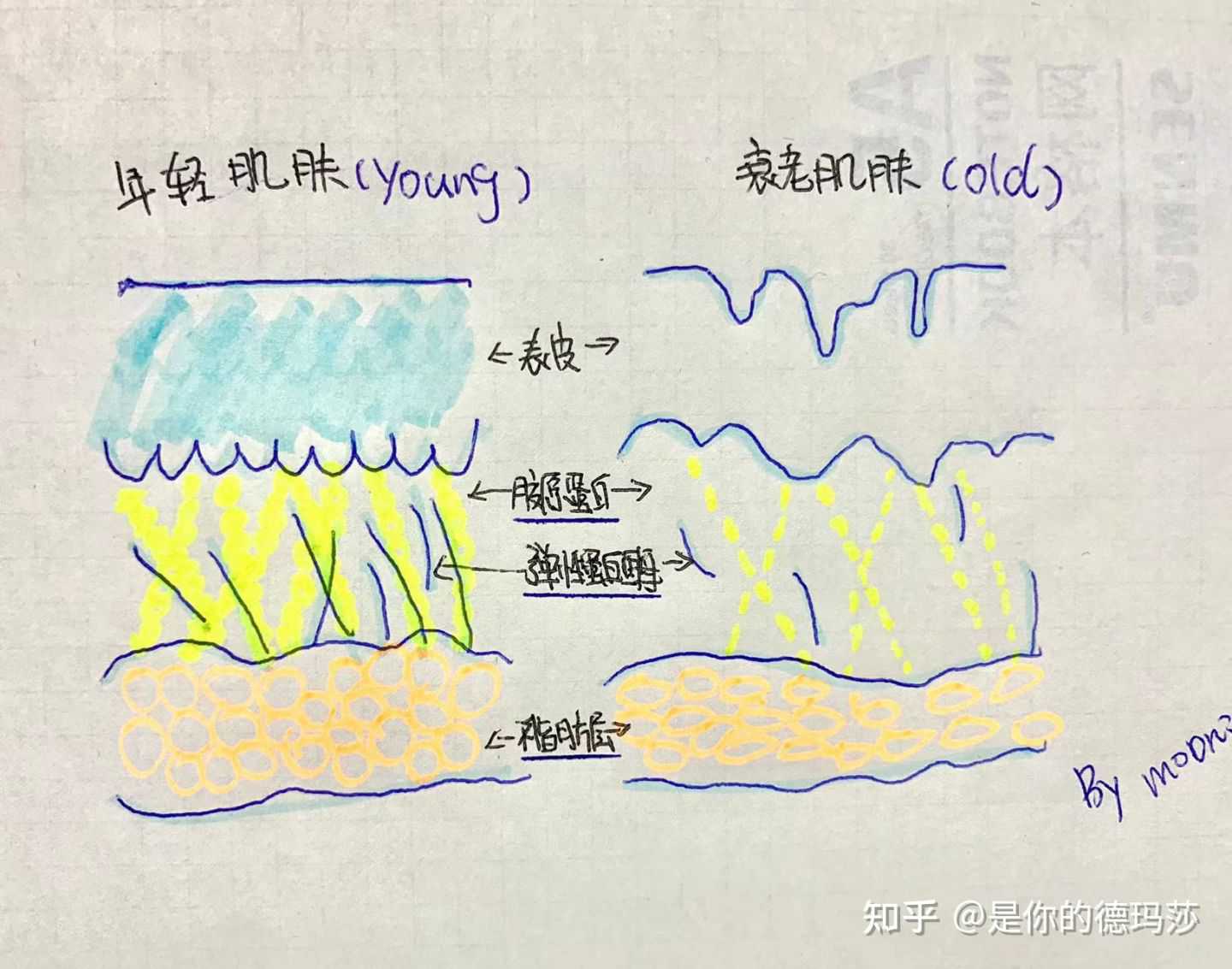 【科普】韩版7D聚拉提的使用方法以及注意事(SHURINK LIFTING LASER) : -1 【科普】韩版7D聚拉提的使用方法以及注意事(SHURINK LIFTING LASER)-广州沐凝生物科技有限公司
